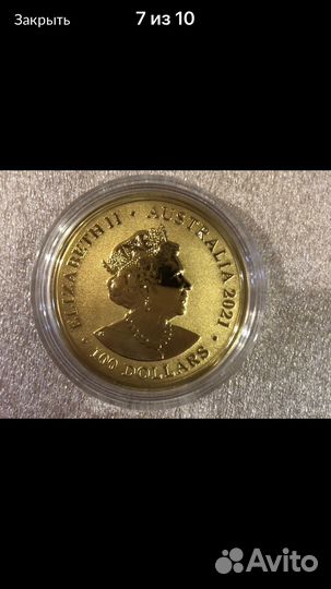 Золотая монета,Австралийский зоопарк,Гепард 2021