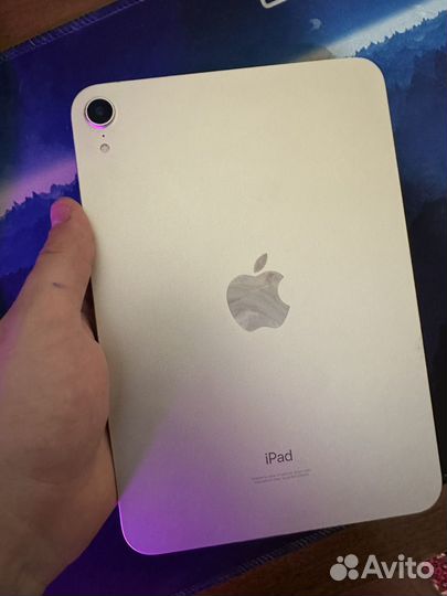 iPad