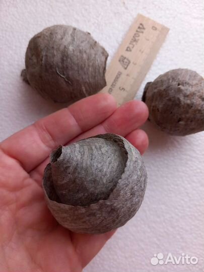 Осиные гнезда 3 шт комплект