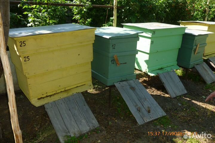 Ульи, рамки