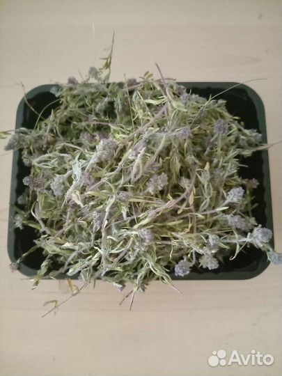 Липа сушеная, зверобой, полынь, чабрец, душица