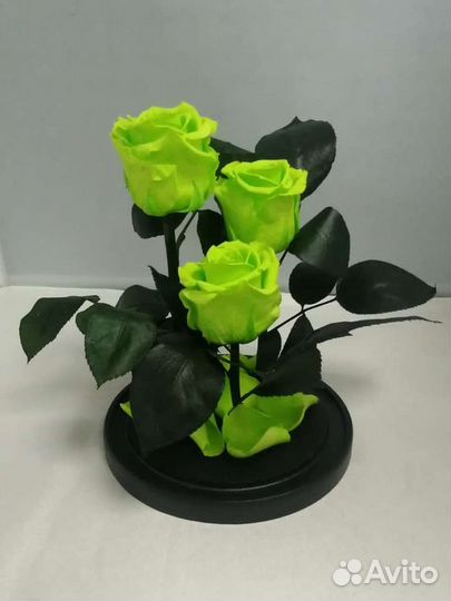Роза в колбе оптом и в розницу