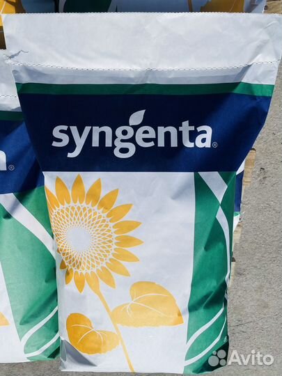 Семена подсолнечника Роки/брио/савинка