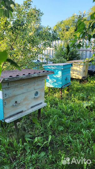 Улей для пчел бу