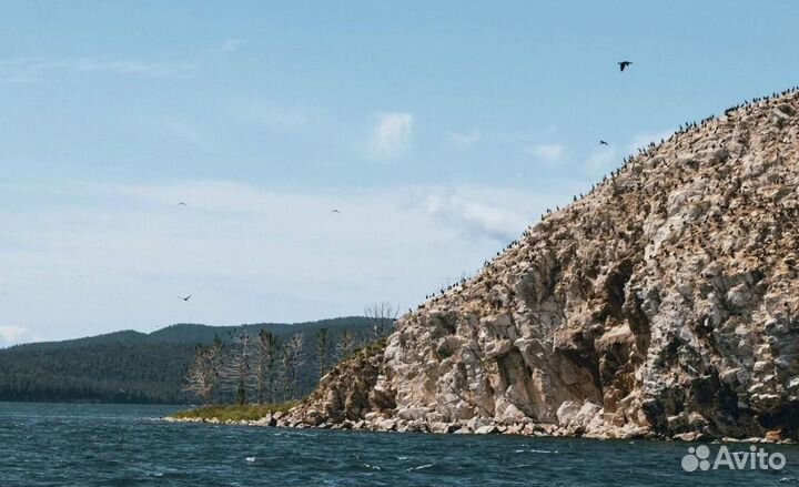 Экскурсия на Чивыркуский залив Байкал