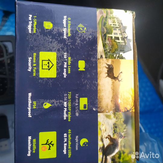 Фотоловушка