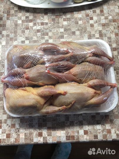 Мясо Перепелов