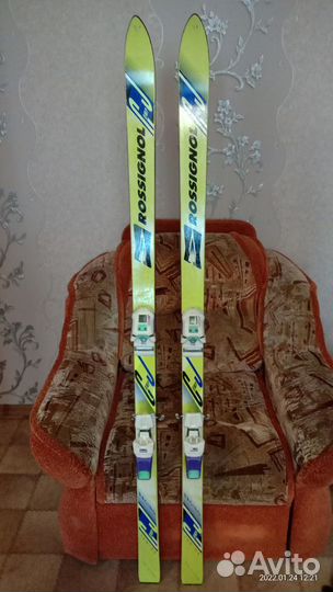 Горные лыжи