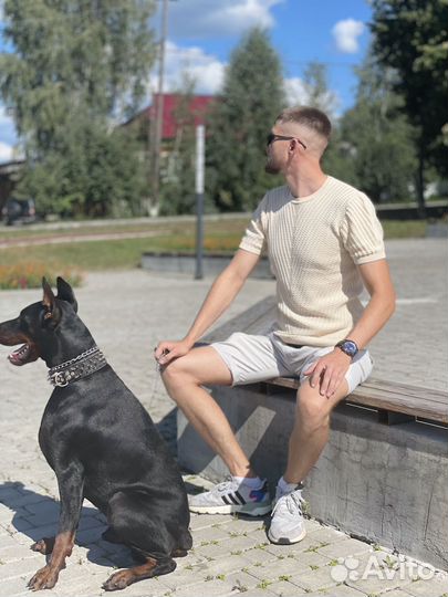 Доберман (Вязка )