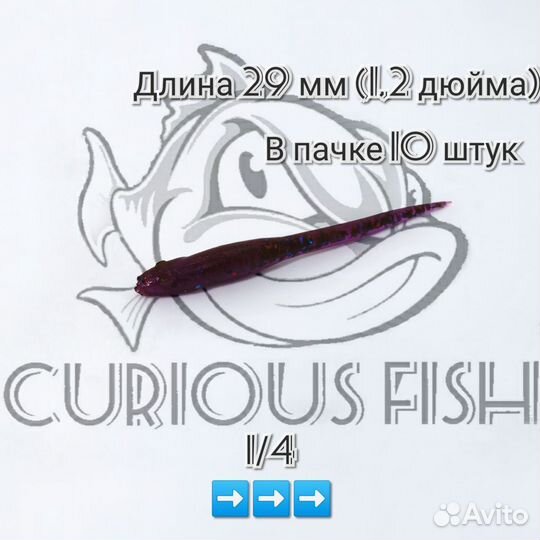 Curious fish hazedong 1,2 дюйма