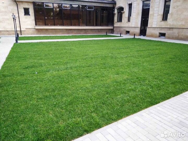 Рулонный газон /продажа/укладка