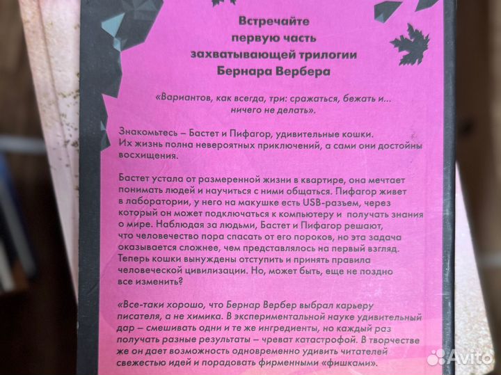 Завтрашний день кошки бернар вербер