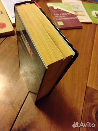 Автонашествие на СССР. М. Соколов