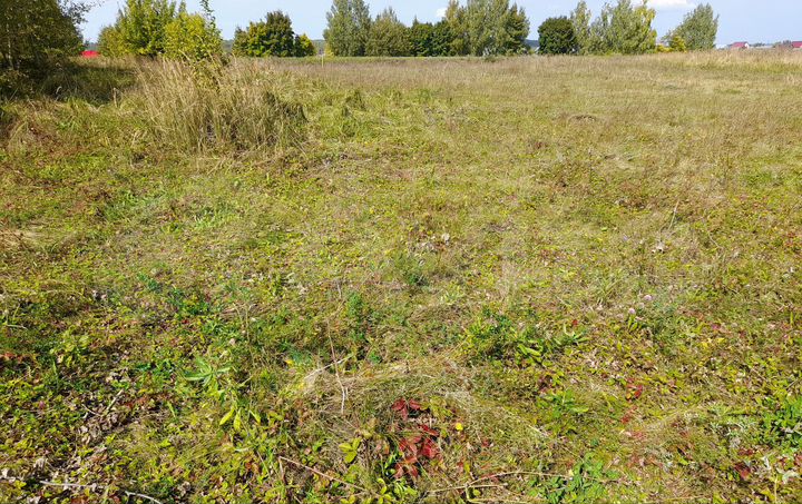 Участок 60 сот. (СНТ, ДНП)