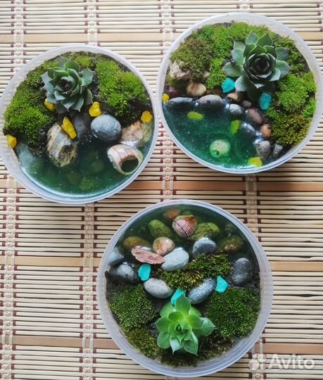 Подарки из живых цветов. Флорариумы на заказ