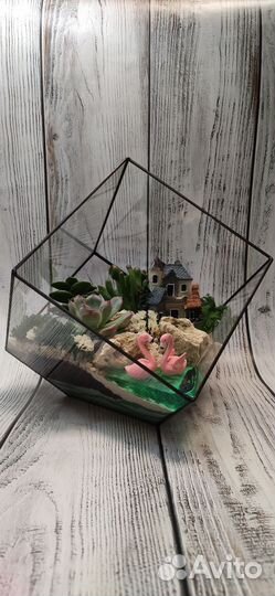 Флорариум, подарок, цветы