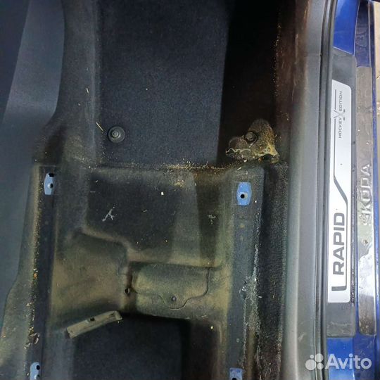 Химчистка (HIM-S)