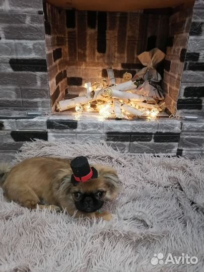 Ищем невесту