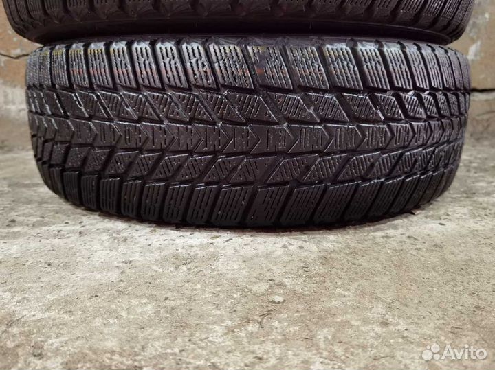 Nexen Winguard Ice Plus 185/65 R15 92T