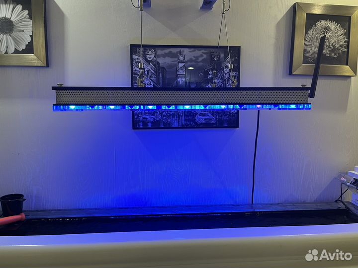 Свет для морского аквариума Orphek Atlantik V4