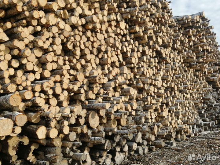 Продам дрова долготьем