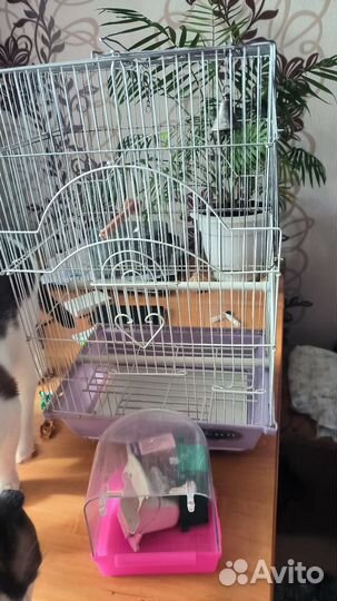 Клетка для попугая бу