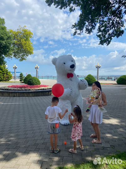 Огромный Белый Мишка и Мишка Панда поздравления