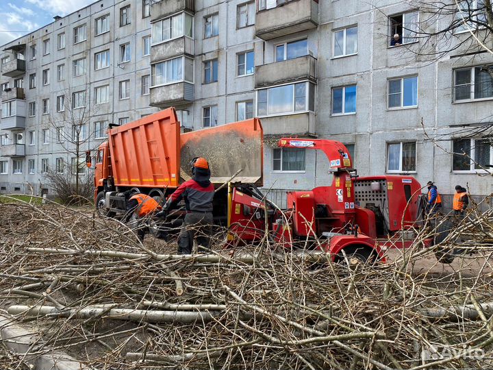 Аренда самосвала в Выборге