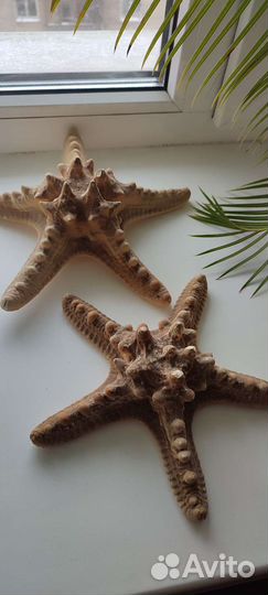 Интерьерные украшения, морские звезды оригинал