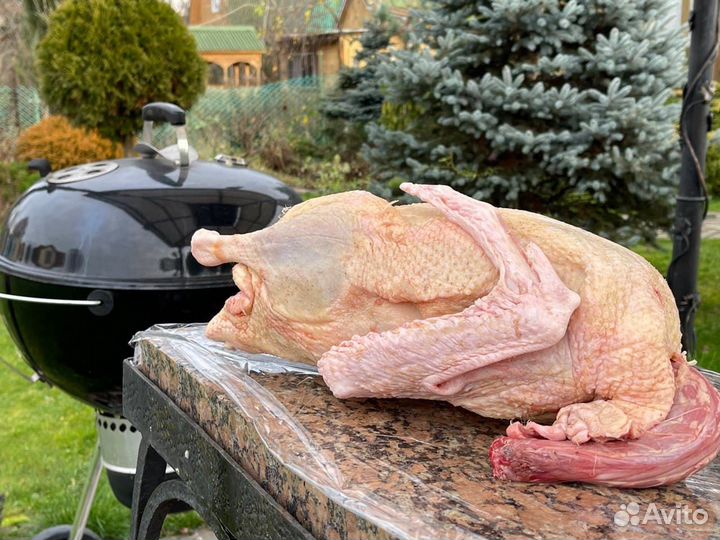 Мясо домашней птицы