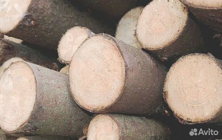 Дрова любые - заготавливаем и доставляем DR-3589