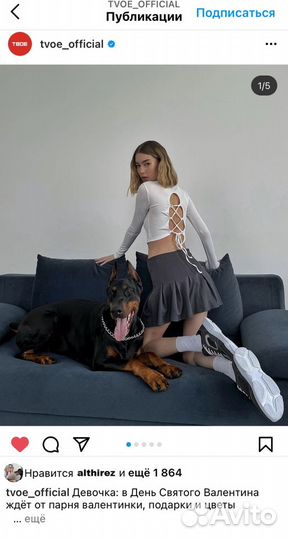 Фотосессия с доберманом, клипы, селебрити и брэнды