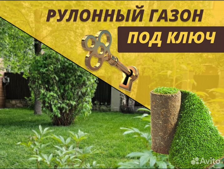 Стандарт рулонный газон