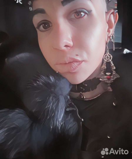 Берет собак и выбрасывает