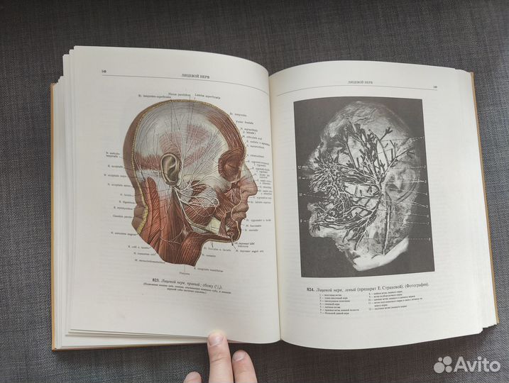 Атлас анатомии человека Синельников. Том 3 (1981г)