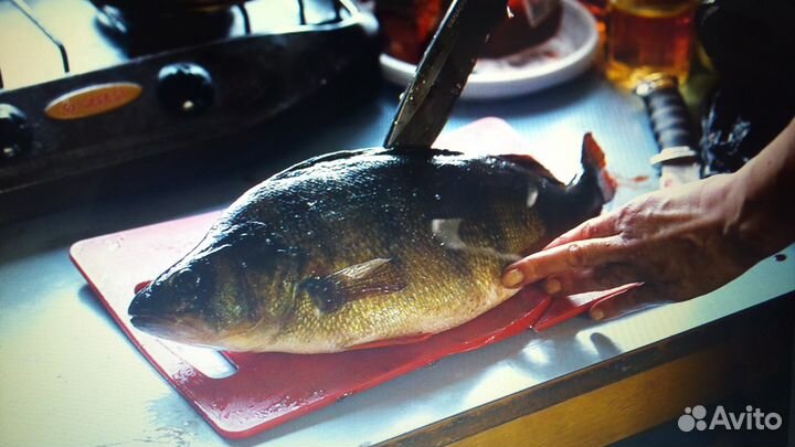 Рыбалка в Карелии