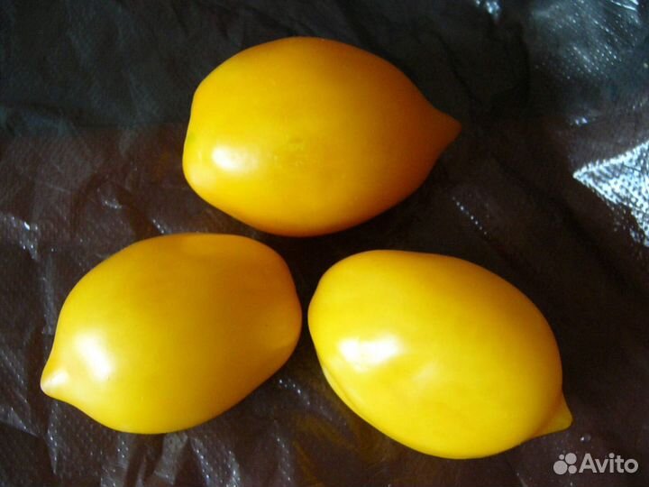 Коллекционные томаты. Семена. 500 сортов