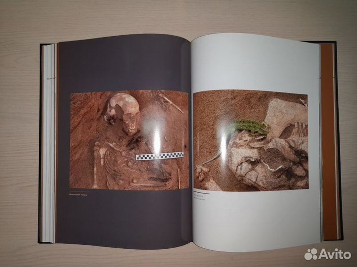 Аркаим: У истоков цивилизации