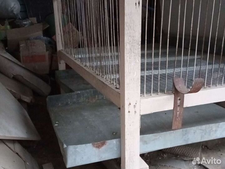 Авто кормушка для курей