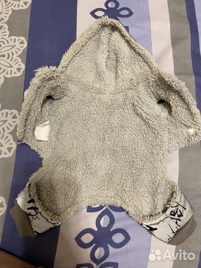 Одежда для собак