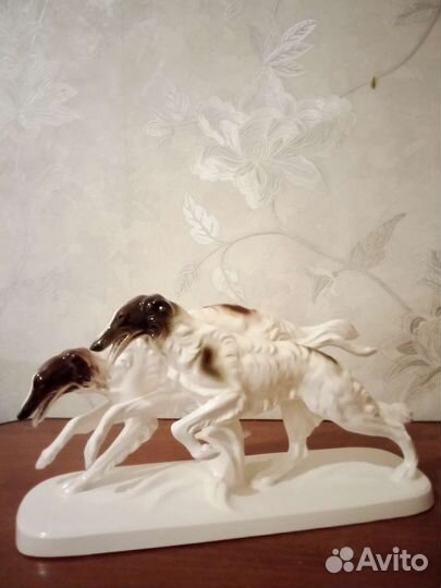 Бегущие борзые Katzhutte, Германия сер.20 в