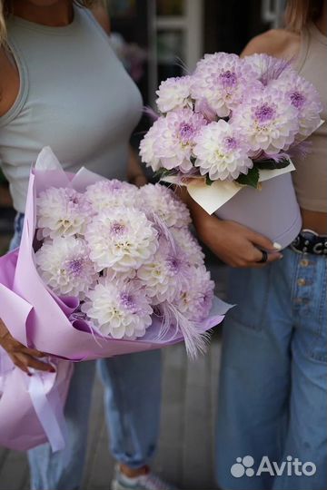 Георгины букет саратов энгельс