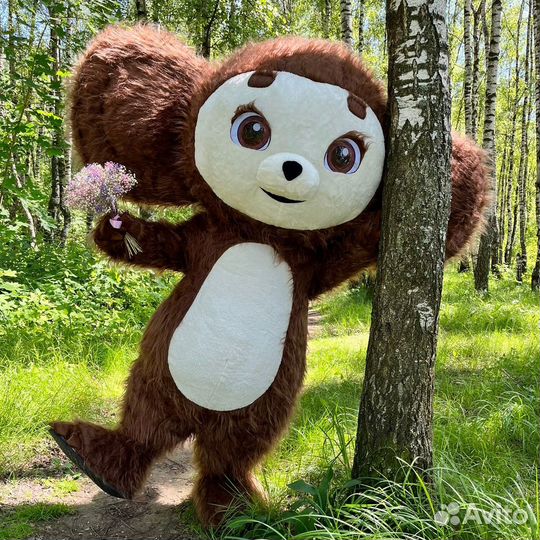 Праздники и мероприятия