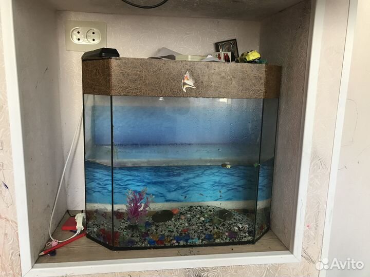 Аквариум 70 литров