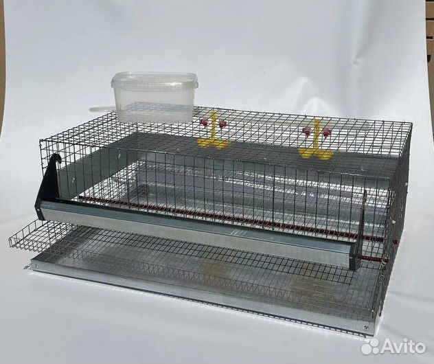 Клетка для 30 перепелов