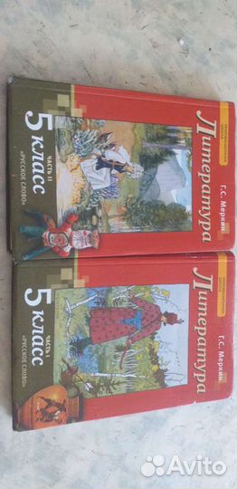 Литература 5, 6, 7, 8, 9 класс.Меркин. Коровина