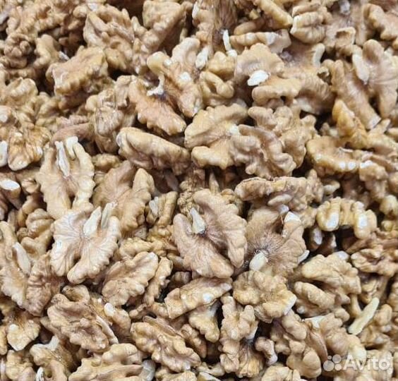 Грецкий орех светлый, бабочки, Узбекистан