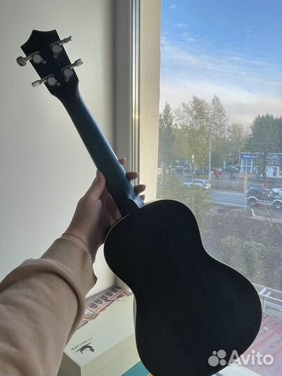 Укулеле концерт Fabio