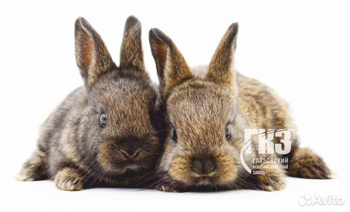 Комбикорм для Кроликов от (гкз )