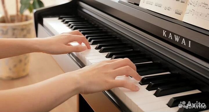 Корпусные Цифровые Пианино (комплект)